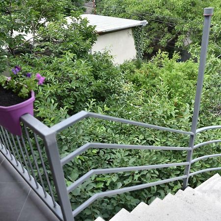 4Bd Appartaments With Cozy Garden 第比利斯 外观 照片