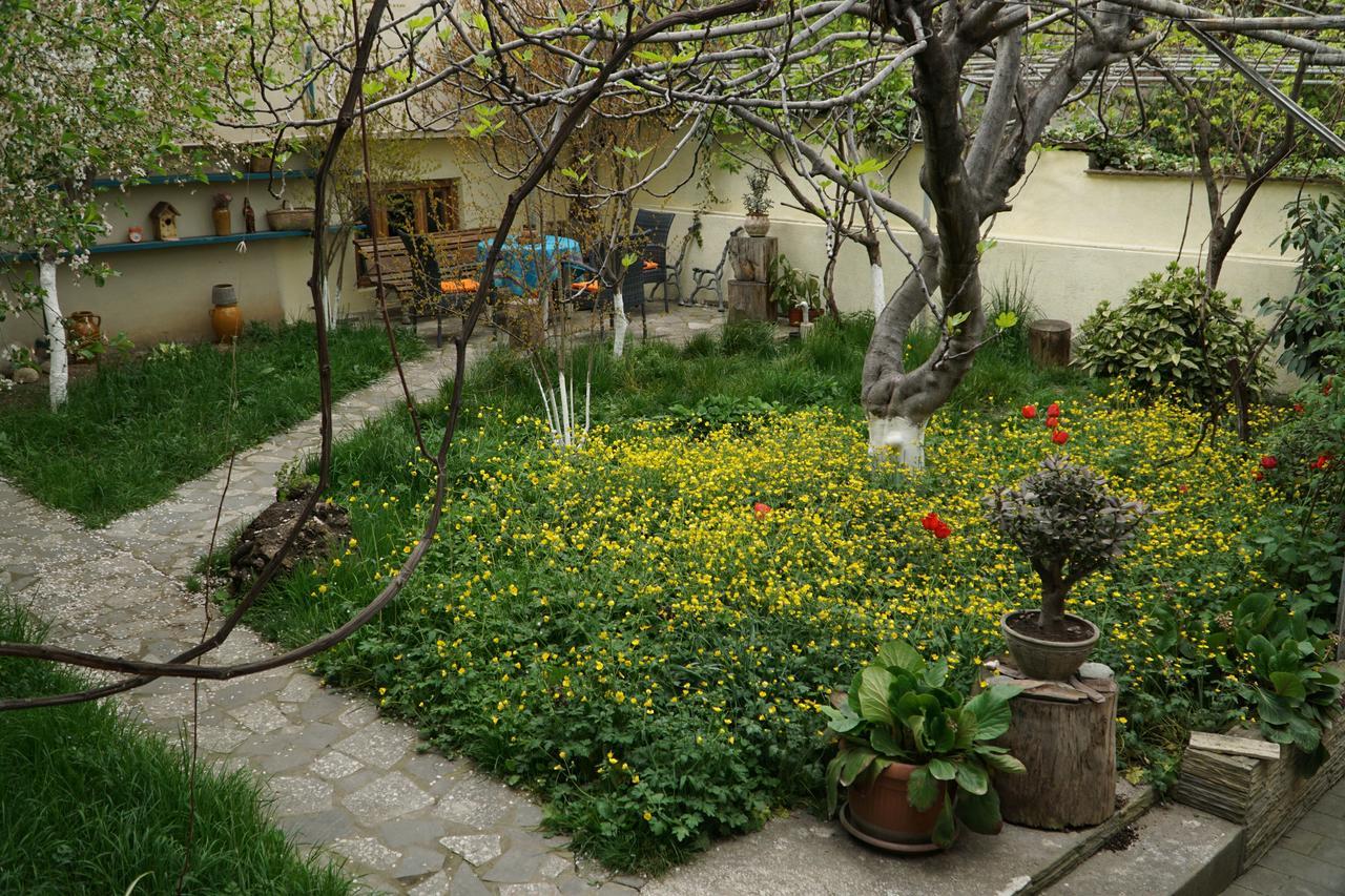 4Bd Appartaments With Cozy Garden 第比利斯 外观 照片