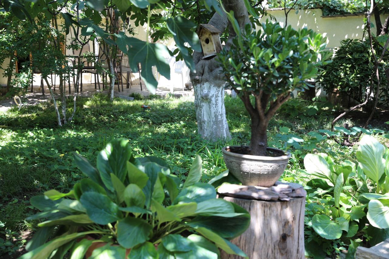 4Bd Appartaments With Cozy Garden 第比利斯 外观 照片